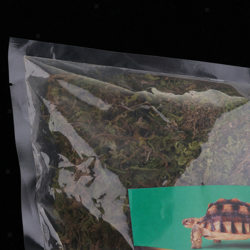 Natural Green Moss Terrarium Plant Moss Fern Pet Reptile Habitat Decoration