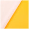 5x Yellow Sticky Glue Flying Pest Insect Papers Traps Catchers Bugs Size:25