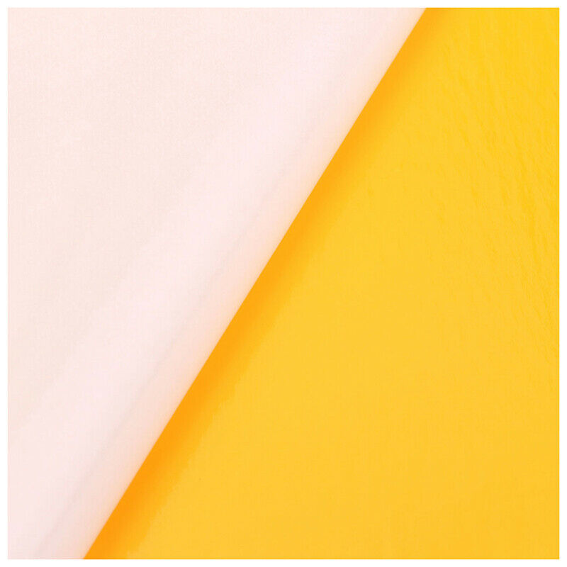 5x Yellow Sticky Glue Flying Pest Insect Papers Traps Catchers Bugs Size:25