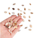 About 1300-1500 Tiny Sea Shell Ocean Beach Spiral Seashells Craft Charms 7-