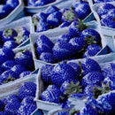 100pcs blue strawberry seeds vegetable home garden vitamin fruit tree LJ