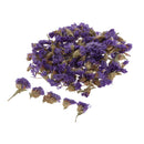 5 Bags Pressed Dried Flower Herbarium DIY Arts Crafts Scrapbooking