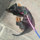 Small Pet Cat Puppy Kitten Rabbit Dog Harness Lead Leash Collar Adjustable U8T2