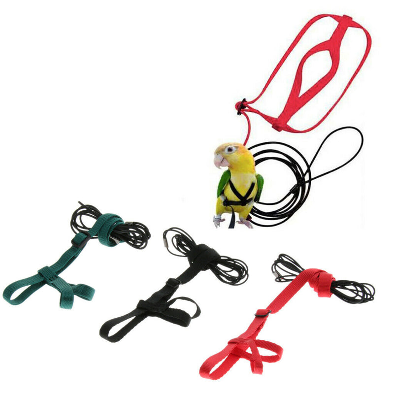 Pet Bird Parrot Nappy Diaper + Training Leash Harness Rope for Small Parrot