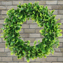 Green Boxwood Door Wreath for Holiday, Crafts,or Decor Measures 15" Plus