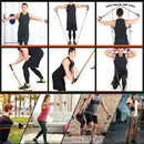 Resistance Bands Fitness Elastic Band Set, 10pcs/ 75lbs Exercise Bands Expander