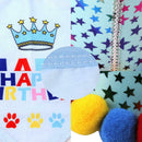 Glitter Birthday Party Hat with Bandana Neck Scarf Ties for Your Pet Dog Cat