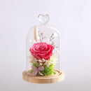 Decorative Glass Dome with Wooden Base - Cloche Bell Jar Display DIY 15cm
