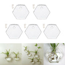5 Pieces Hexagon Wall Hanging Plant Terrarium Glass Planter Vase, 13CM