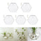 5 Pieces Hexagon Wall Hanging Plant Terrarium Glass Planter Vase, 13CM