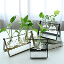 Hanging Flower Pot Vase With Black Metal Stand Single For Home Garden DecorA