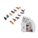 60x Realistic Montessori Jungle Animals Figures Set With Matching Cards