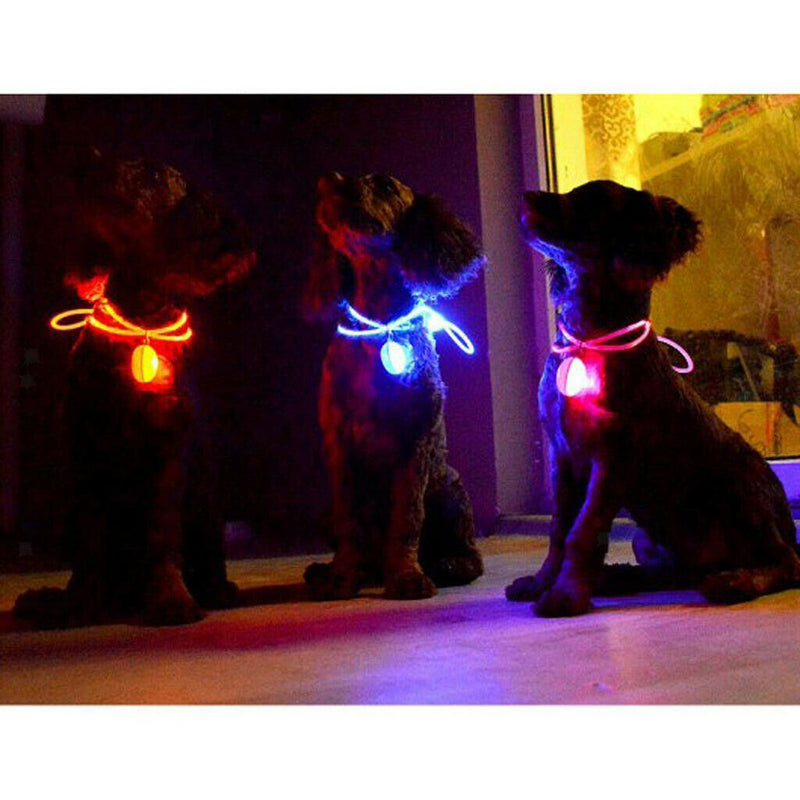 2pc LED Collar Light Up Dog Cat Night Safety Clip Decor Bulb Collar