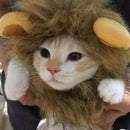 Pet Clothing, Dog or Cat Clothing, Beauty and Beast Clothing, Christmas Rol