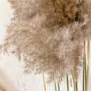10 Pcs Natural Big Reed Grass Bunch Dried Flower Bouquet Wedding Decor 55cm Set