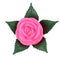 Rose Romantic Outdoor Yard Garden Path Way Tulip Bar Landscape Flower Night