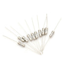 10pcs Ceramic Tube Fuse Axial Leads 3.6*10mm 5A Slow Blow 250V  Z