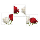 Red and White Rose Flowers Print on Canvas Modern Artwork for Wall Decor