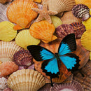 5D DIY Full Drill Diamond Painting Nature Cross Stitch Embroidery (G-2867)