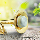 Trumpet Whisper Mute, Lightweight Aluminum Alloy Practice Silencer Musical  N9T9
