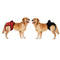 2 Pcs Female Sanitary Physiological Pants For Large Dog Reusable