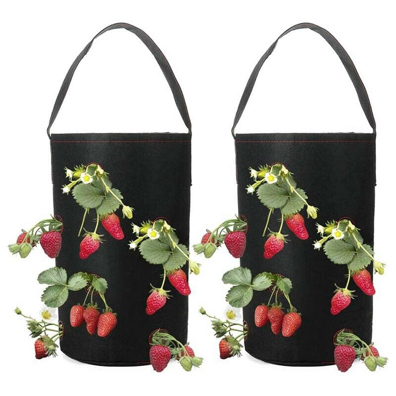 Hanging Strawberry Planter for Strawberry Bare Root Plants(Roots not Includ