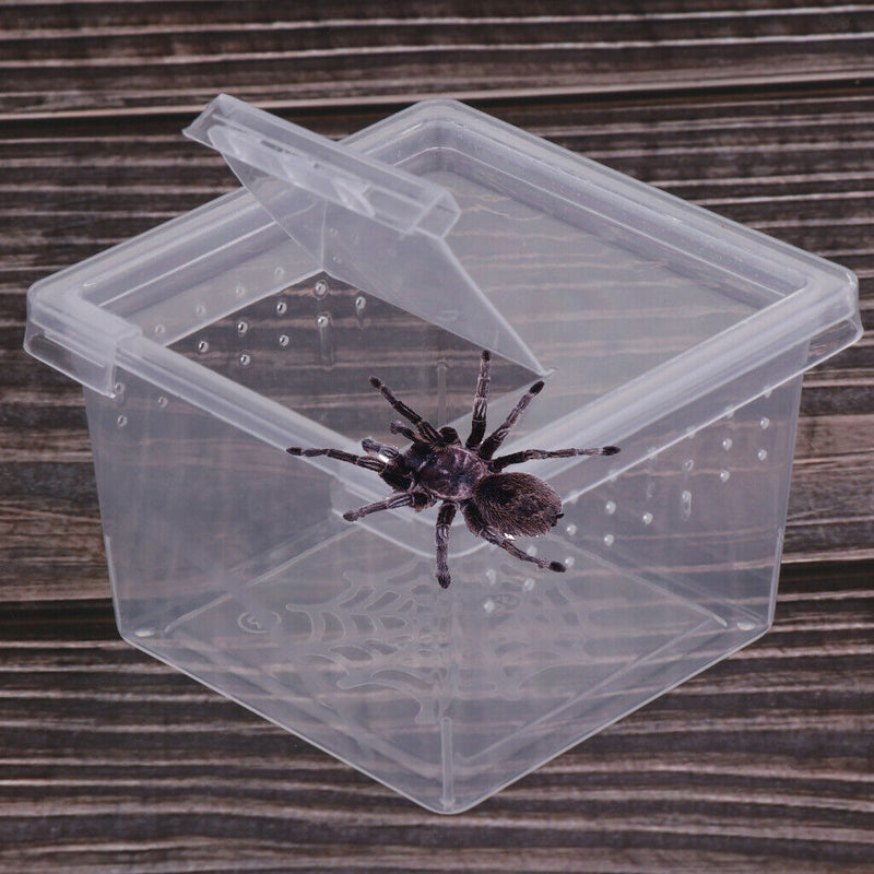 30 Pcs/Set Insect Reptile Spider Terrariums