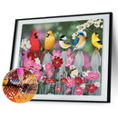 5D DIY Full Round Drill Diamond Painting Bird Cross Stitch for Gift (B1035)