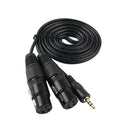 Unbalanced 3.5 mm (1/8Inch) Mini Jack Stereo TRS to Dual XLR 3 Pin Female