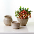 Luxury Beige Glaze Ceramic Succulent Flower Pot Planter Garden Decor for Home