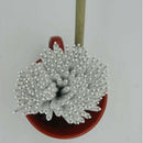 100 Pcs Clean Brushes For Drinking Straws/Glasses/Keyboards/Jewelry Cleanin Z3W5