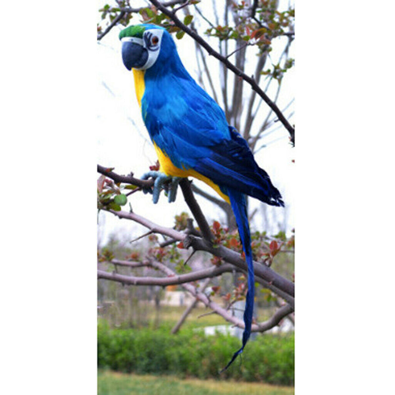 4 Pieces Realistic Feathered Parrot Birds Statue Indoor Outdoor Garden Art