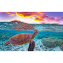 5D DIY Diamond Painting Turtle Full Round Drill Rhinestones Wall Picture