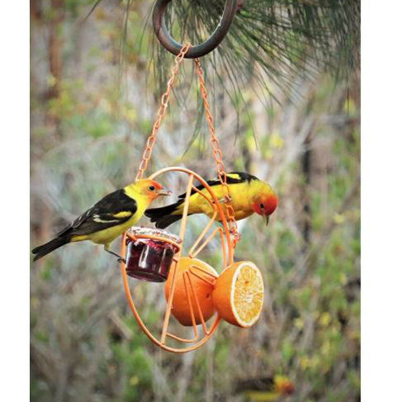 Iron Bird Feeder Hanging Feed Support Hanging Coating for Garden Accessory