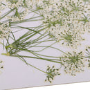 10 Pieces Lace Flower Dried Flowers Embellishments for DIY Phone Case Decoration