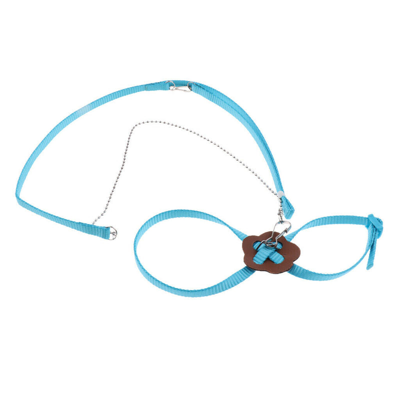 2Pcs Adjustable Nylon Pet Reptile Lizard Hauling Rope Walking Cable Harness