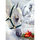 5D DIY Diamond Painting Full Drill Mosaic Kit Horse Cross Stitch (T356)