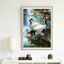Peacock 5D Diamond Painting Embroidery DIY Cross Stitch Craft Needlework