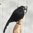 Spooky Black Feathered Lifelike Scary Halloween Raven Crow Prop Decor for G J2L1