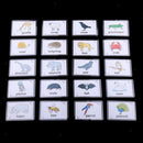 80 Pieces Animal Preschool Educational Flash Cards Kids Cognition Card
