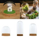 Dia.8x8cm Glass Dome Cover Cloche Jar Succulent Terrariums with Wood Cork