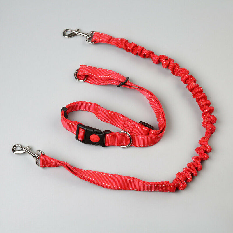 Pet Dog Traction Rope Slip Lead Training Elastic Collar Belt  Adjustable Co
