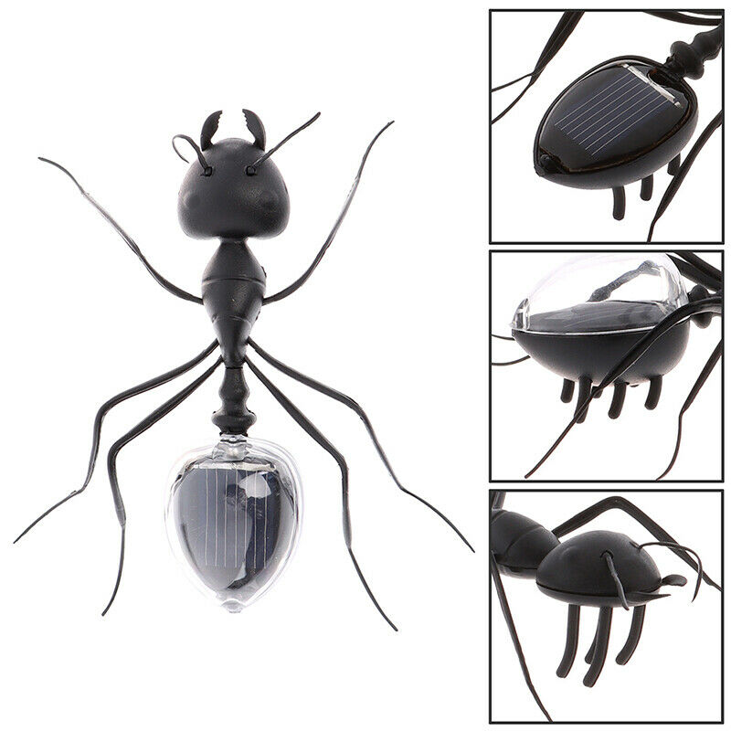 Solar Ant Toys Play Learn Educational Solar Novelty Toys For Children Gif@