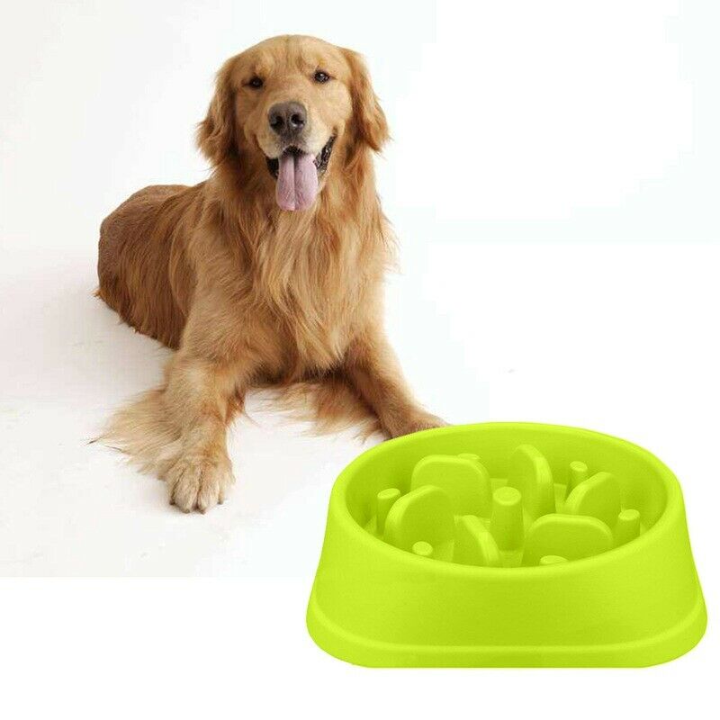 1 Pcs Popular Pet Dog Bowl Plastic Slow Feeder Bowl, Bloat Stop Dog Puzzle  U3Y4
