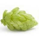 100pcs pack Egrow hops humulus lupulus seeds brew your own beer today returns year after
