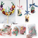 1Box Real Dried Leaf Flowers Plant Herbarium Jewelry Craft Home Decor newly