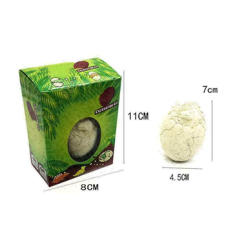 Dinosaur Egg Excavation Kit Archaeology Dig Up History Skeleton Kid Toys W4 B3Z6
