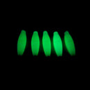 9.5cm Noctilucent Squid Octopus Catch Saltwater Fishing Lure Hook Bait Tackle