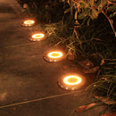 20LED Solar Buried Lamp Spike Waterproof Outdoor Garden Ground Light (1pc) A