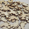 50Pcs DIY Wooden Foot Shaped Natural Wood Decoration Hand-made Graffiti ChipsOZ